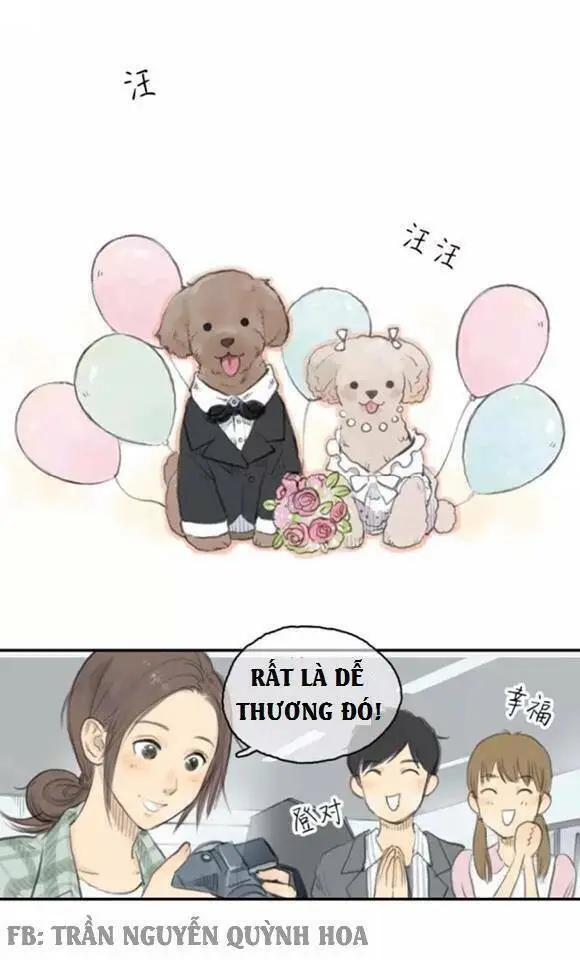 Chapter 16
