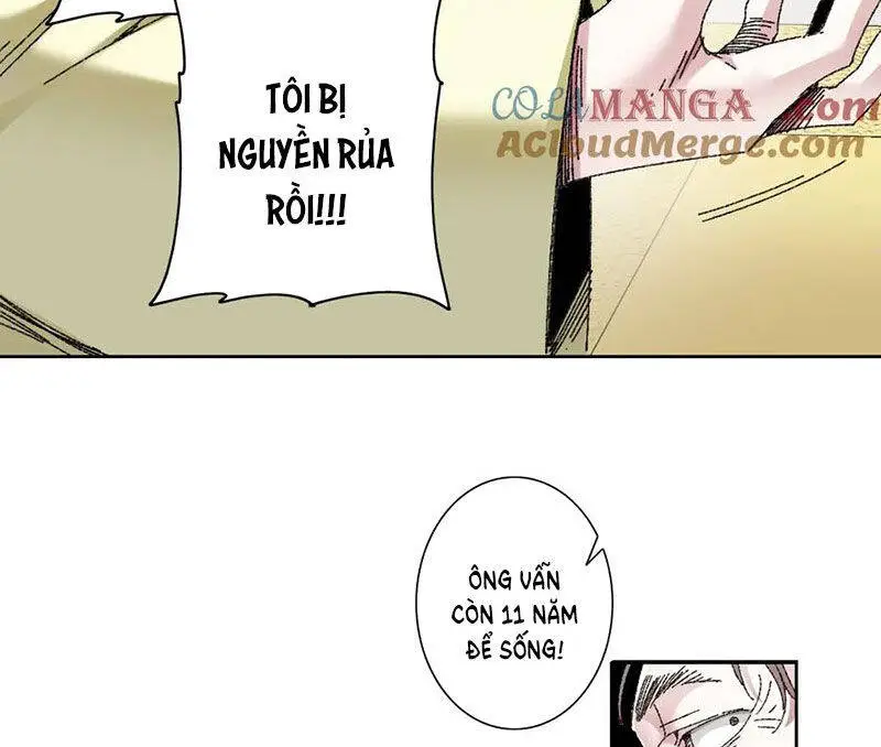 Chapter 288