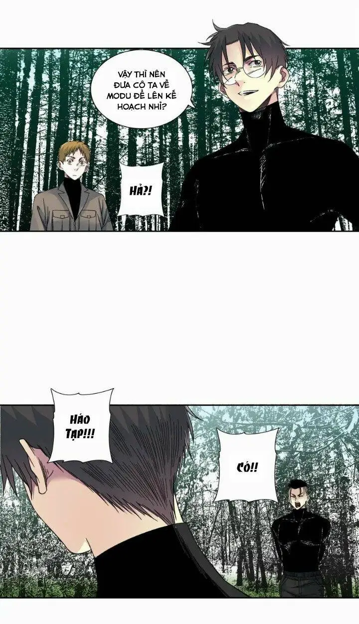 Chapter 243