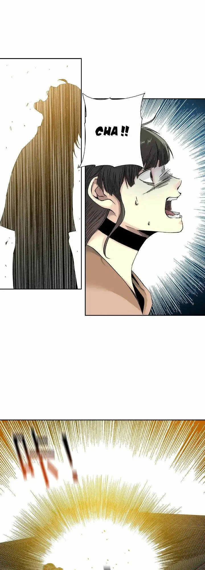 Chapter 223