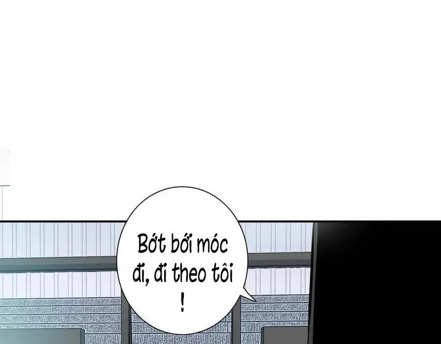 Chapter 37
