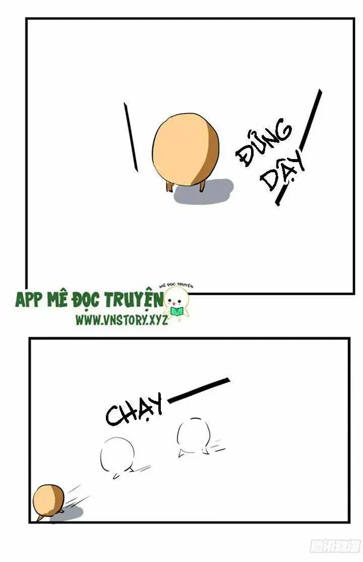 Chapter 47