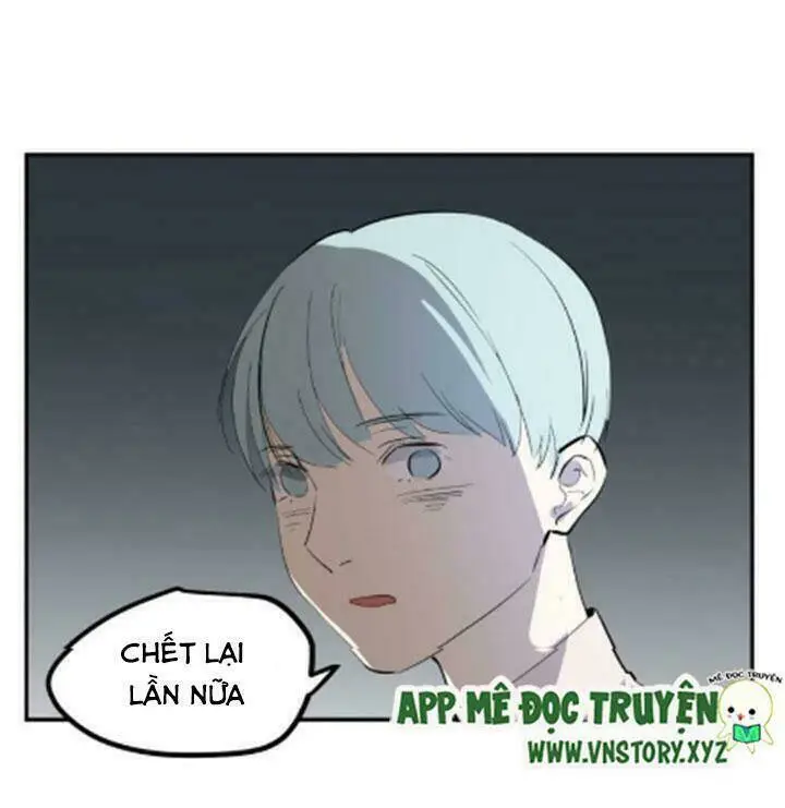 Chapter 24