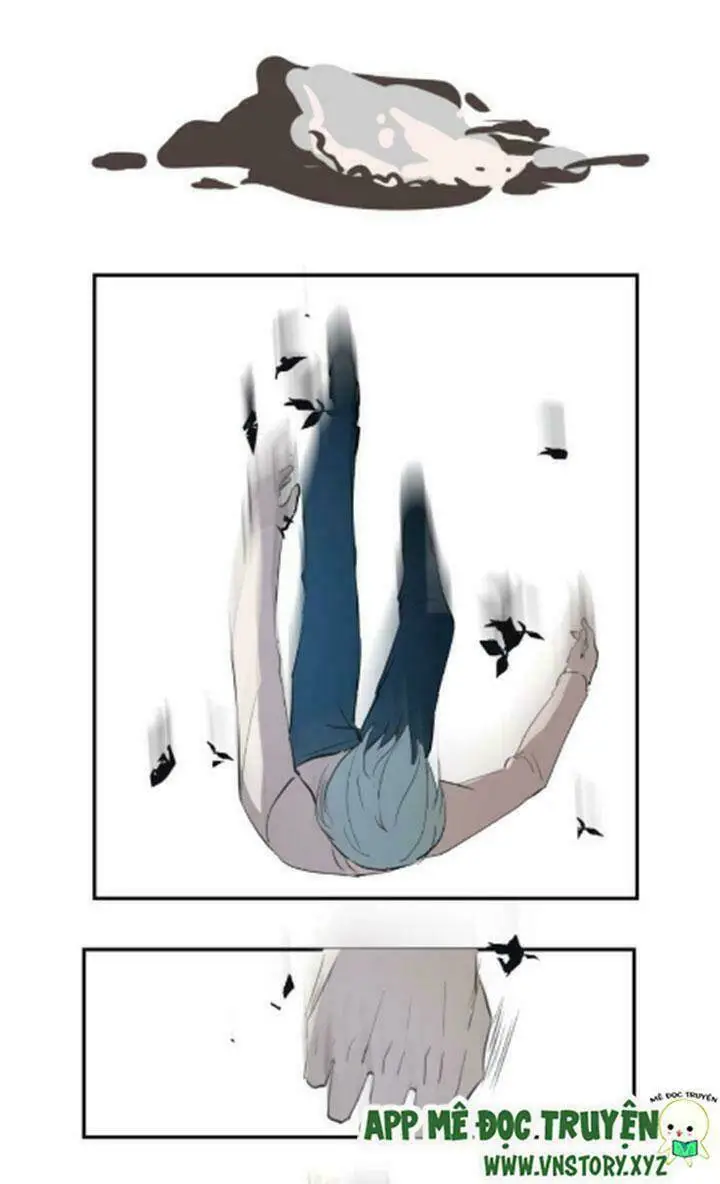Chapter 24