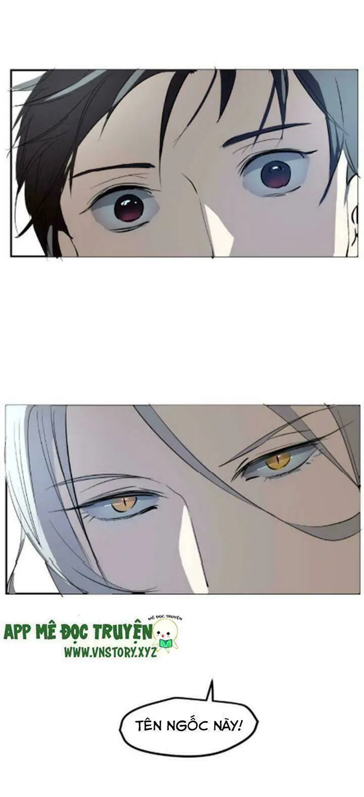 Chapter 24