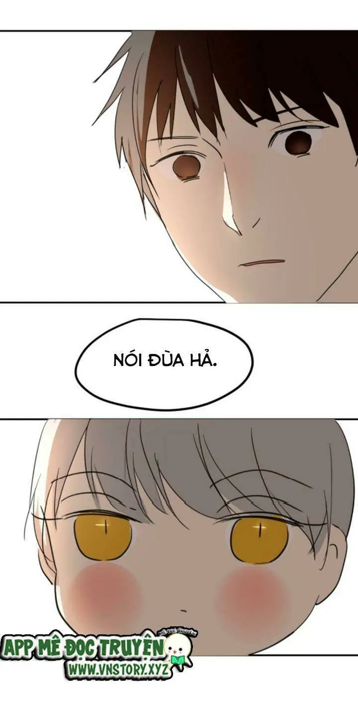 Chapter 22