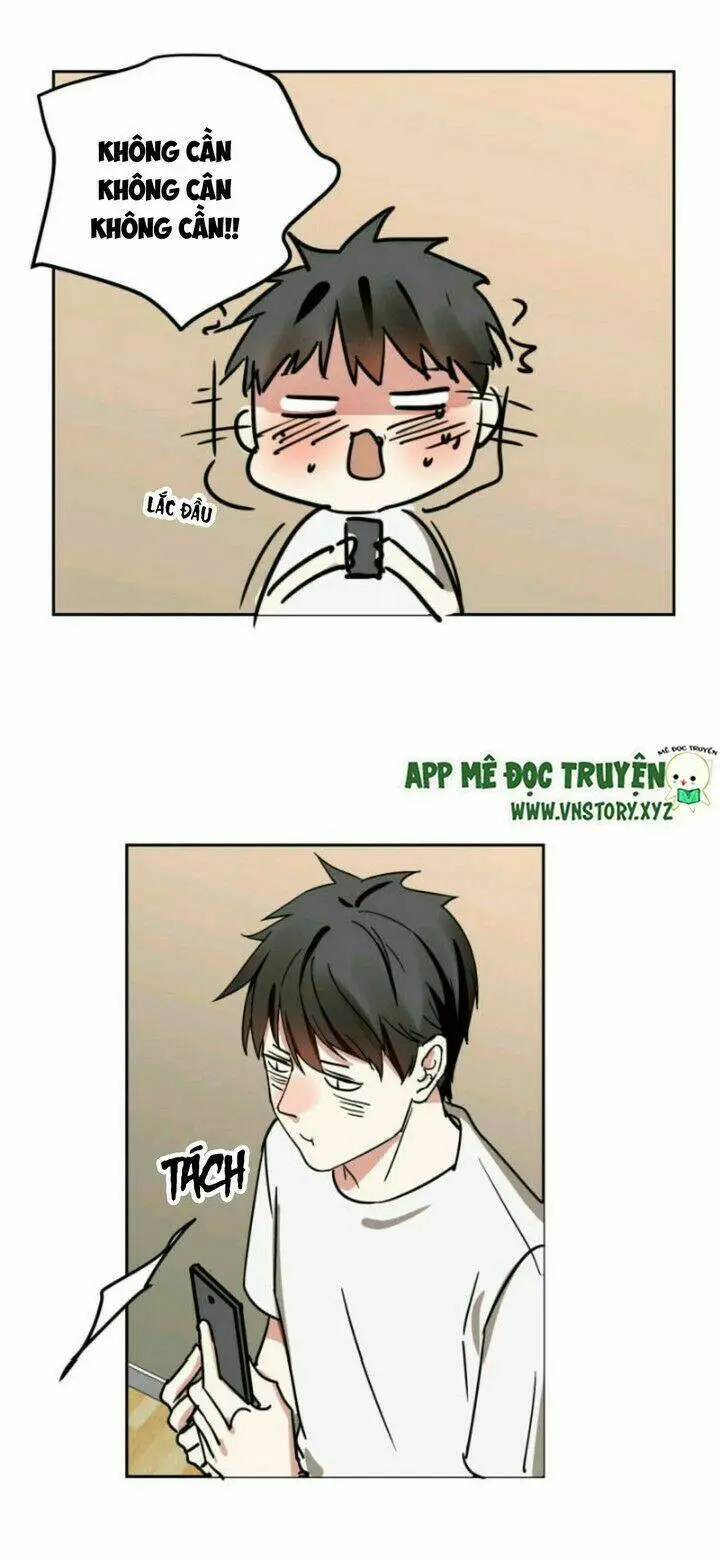 Chapter 10