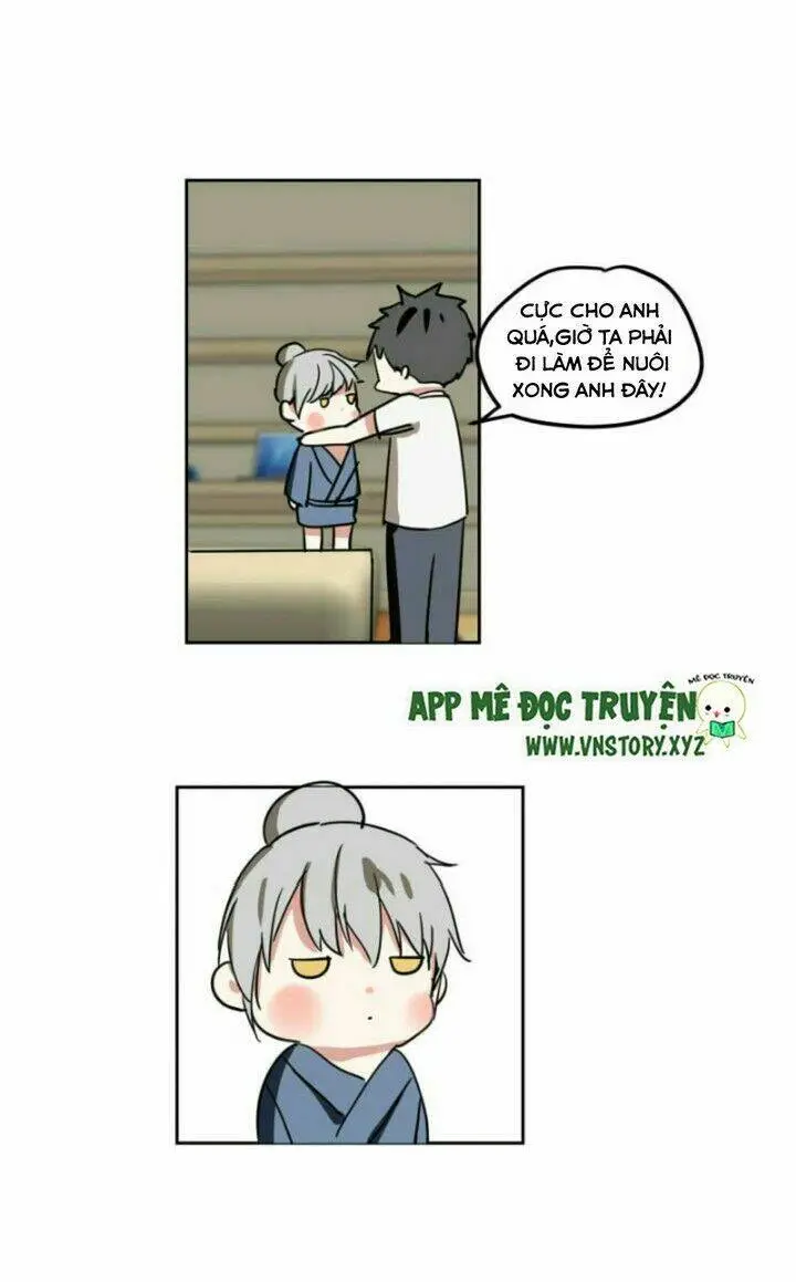 Chapter 10