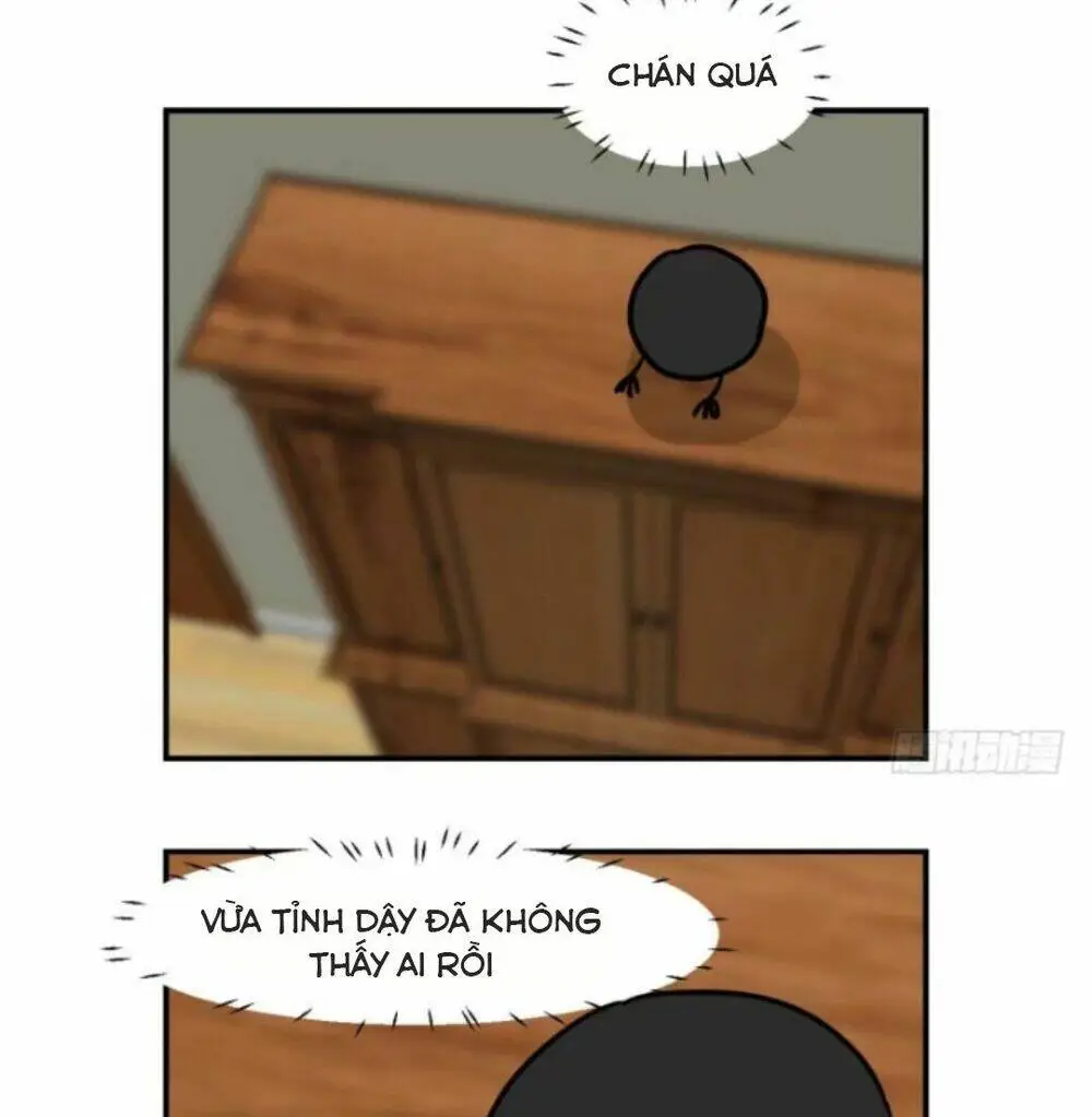 Chapter 8