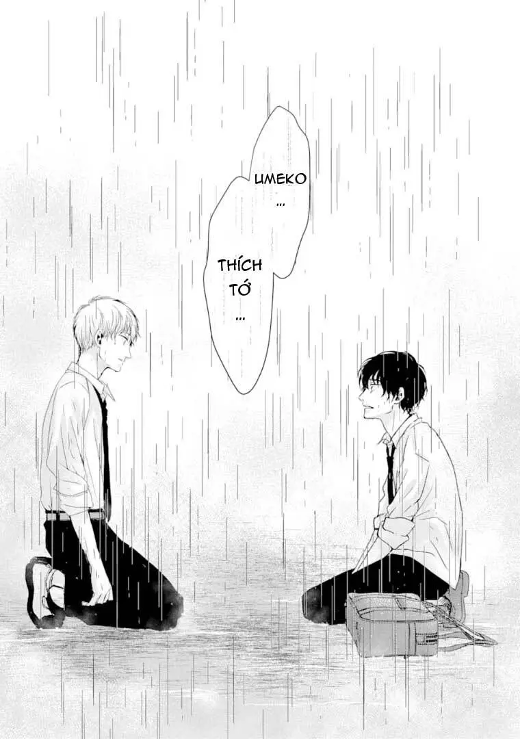 Chapter 12