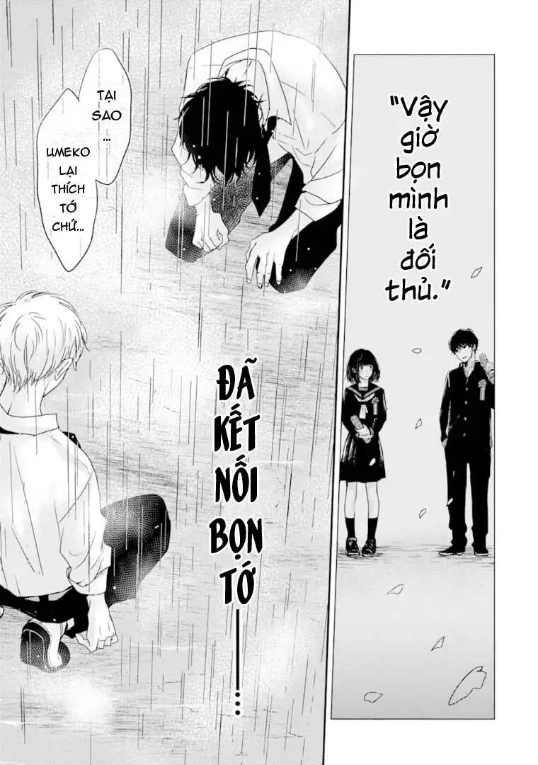 Chapter 12