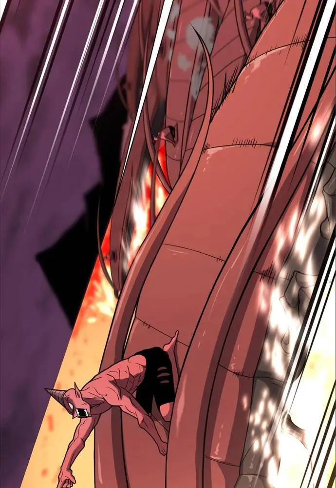 Chapter 114