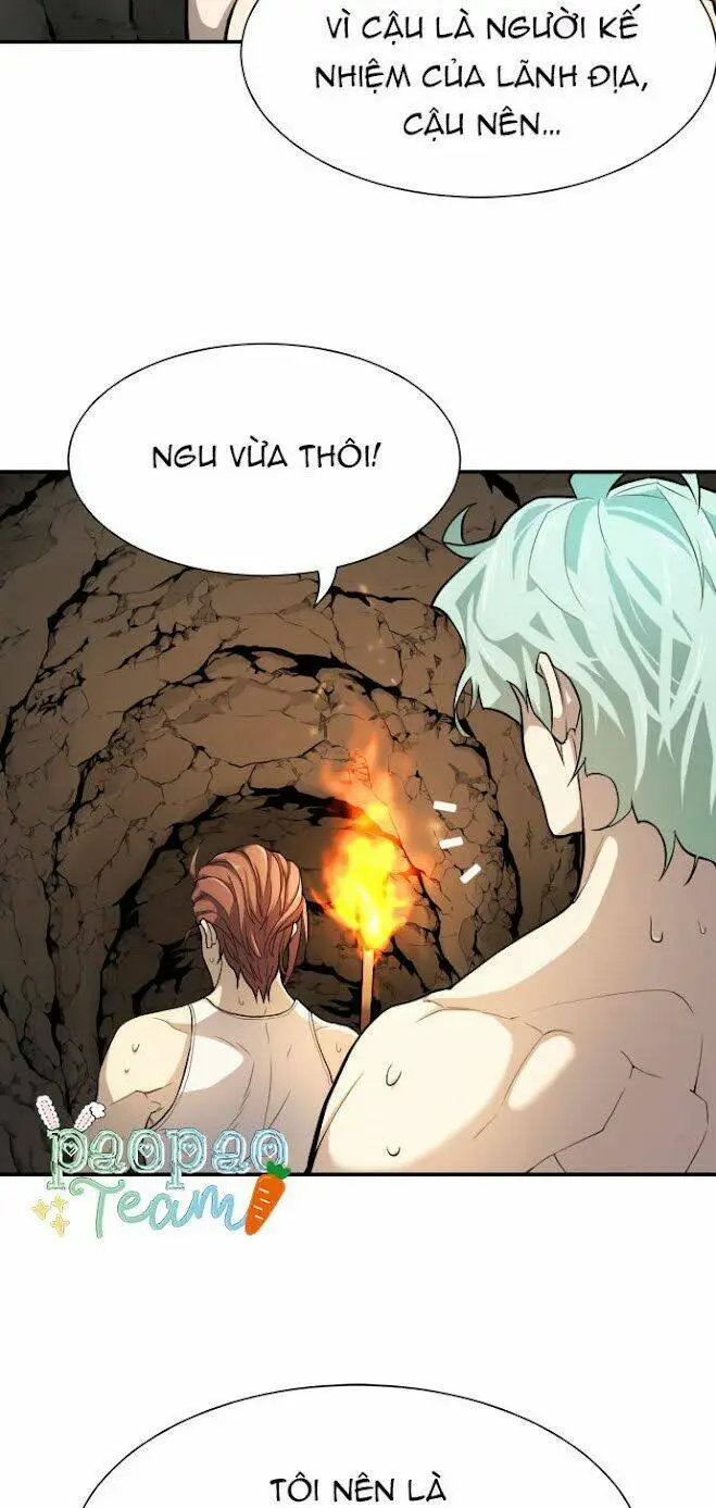 Chapter 13