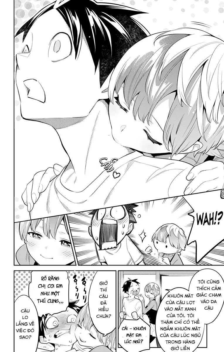 Chapter 23