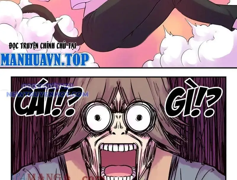 Chapter 333