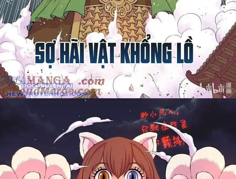 Chapter 333