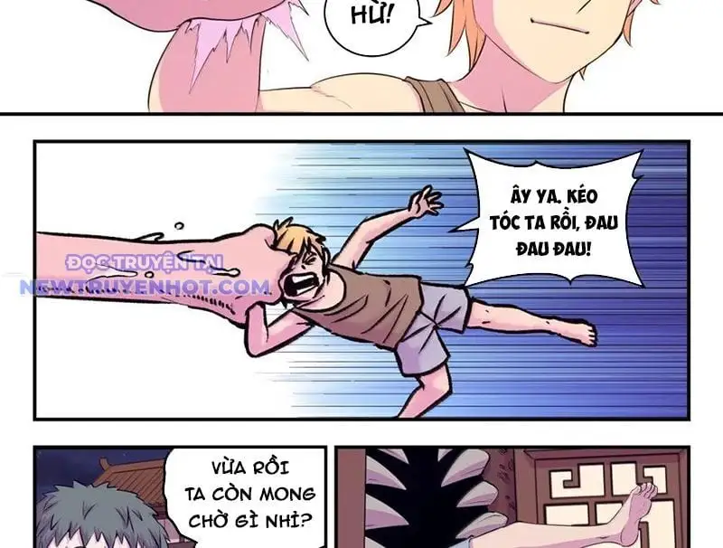 Chapter 333