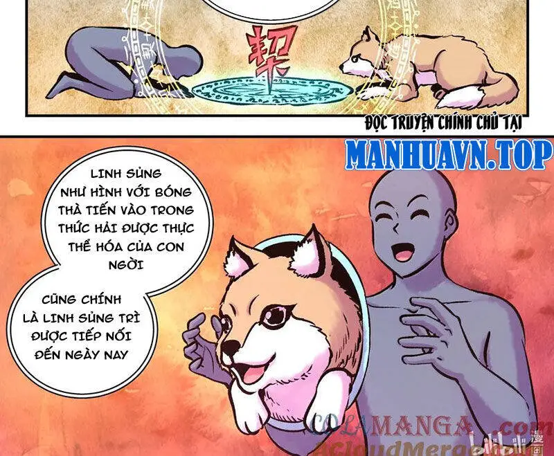 Chapter 314
