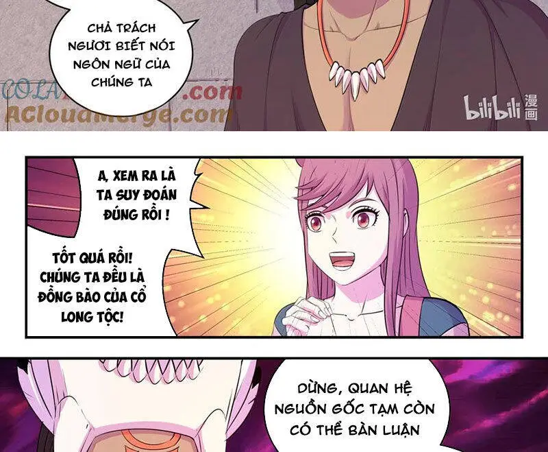 Chapter 312
