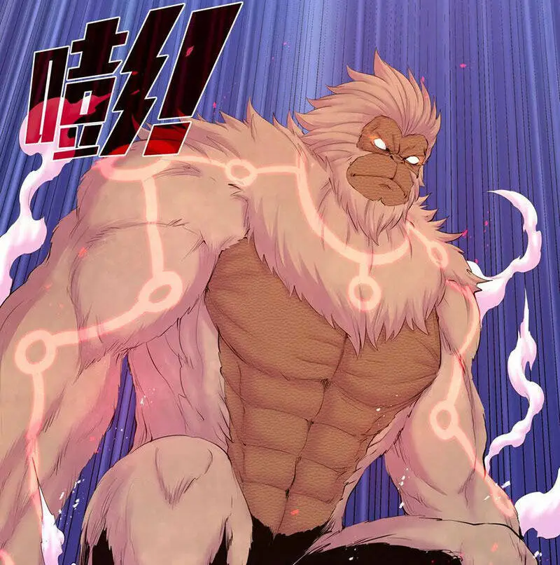 Chapter 207