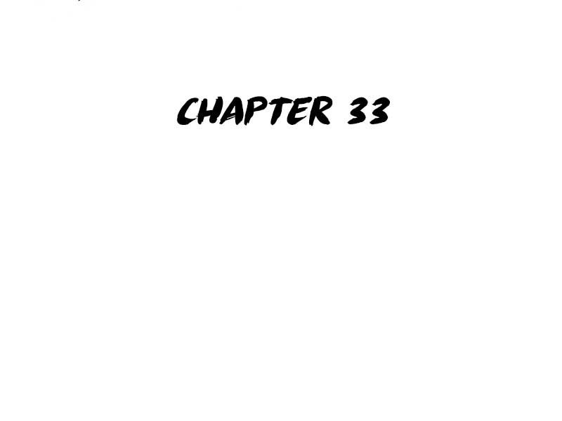 Chapter 33