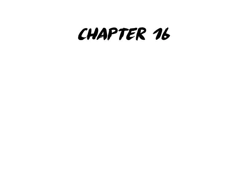 Chapter 16