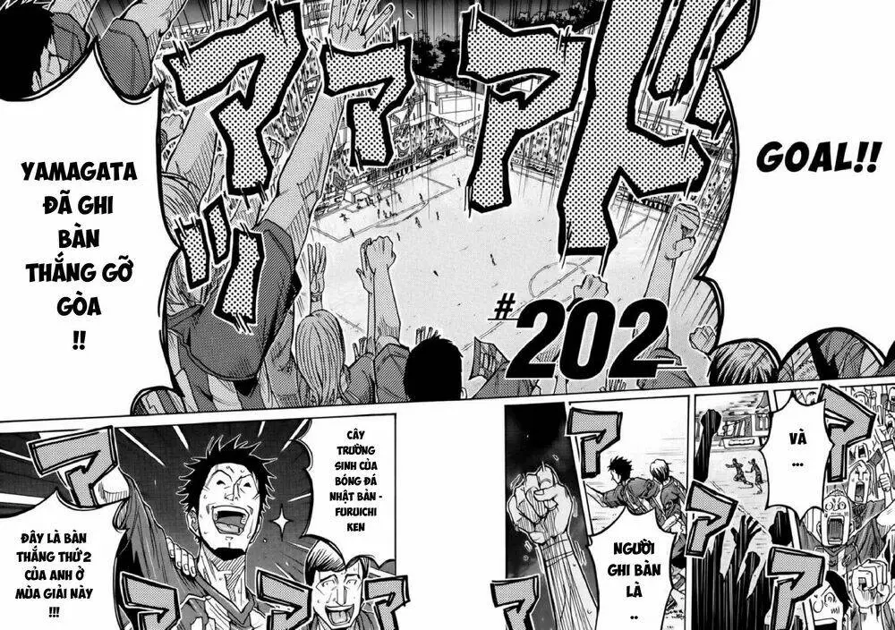 Chapter 202