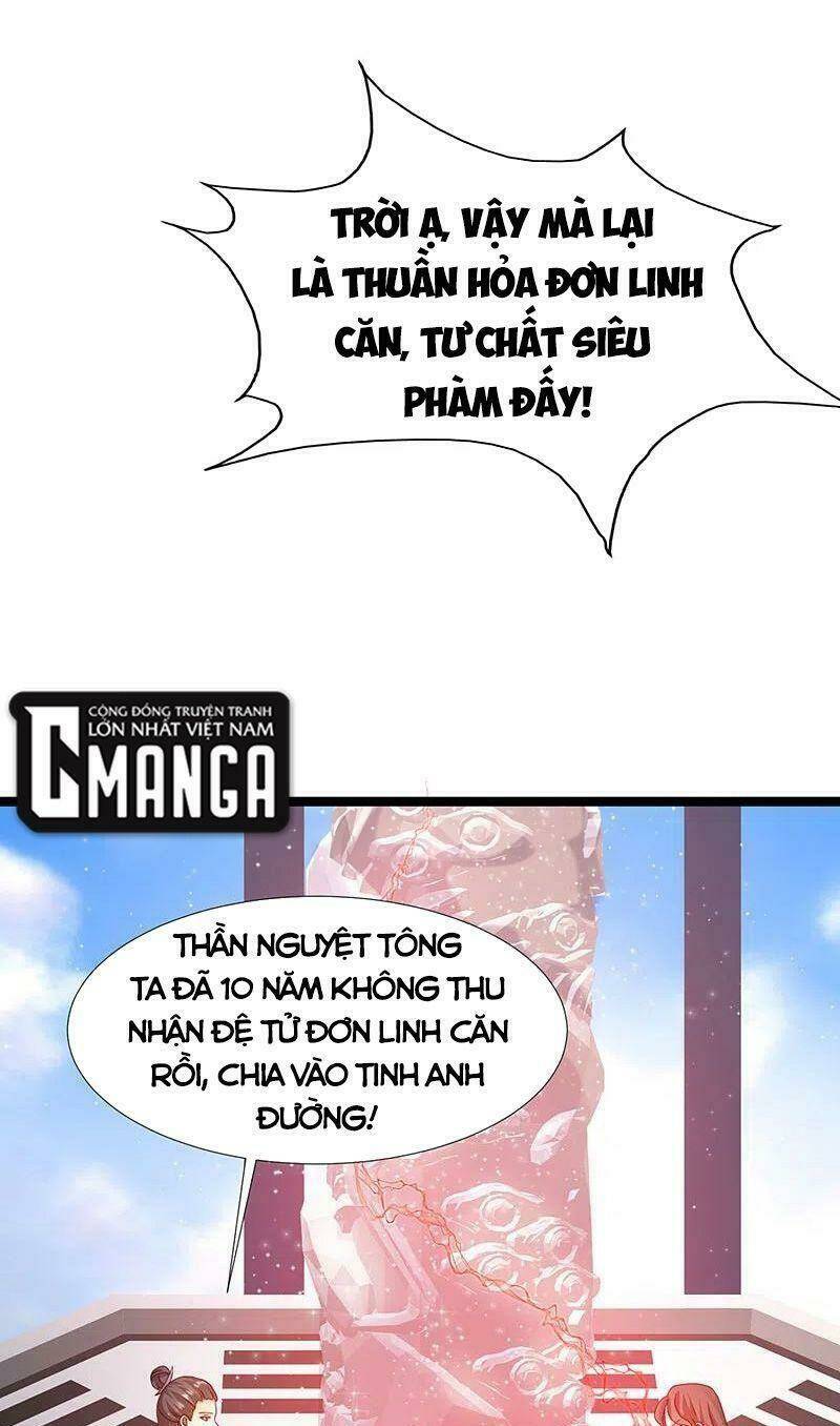 Chapter 246