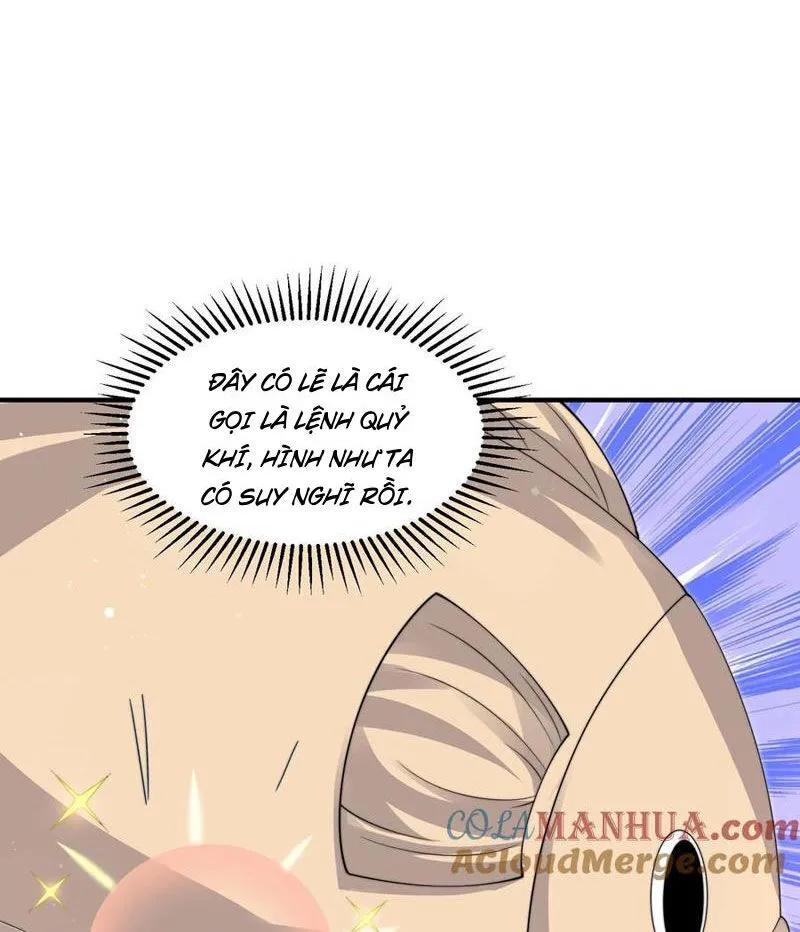 Chapter 278