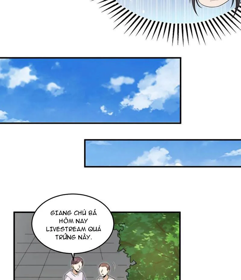 Chapter 278