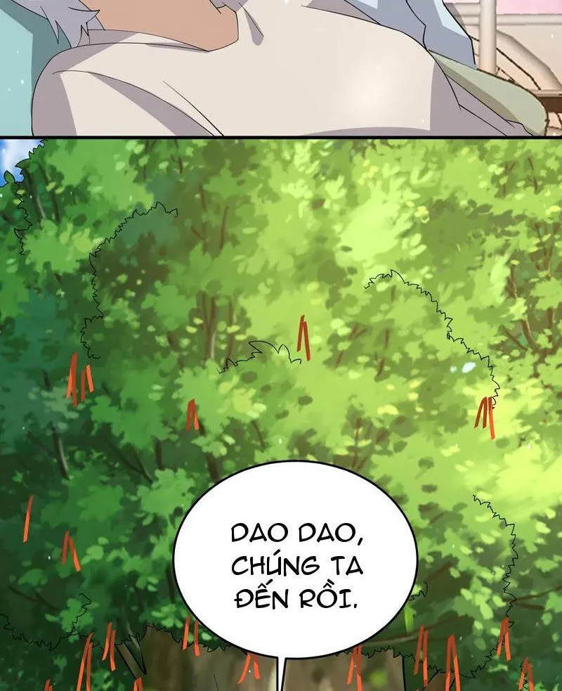 Chapter 271