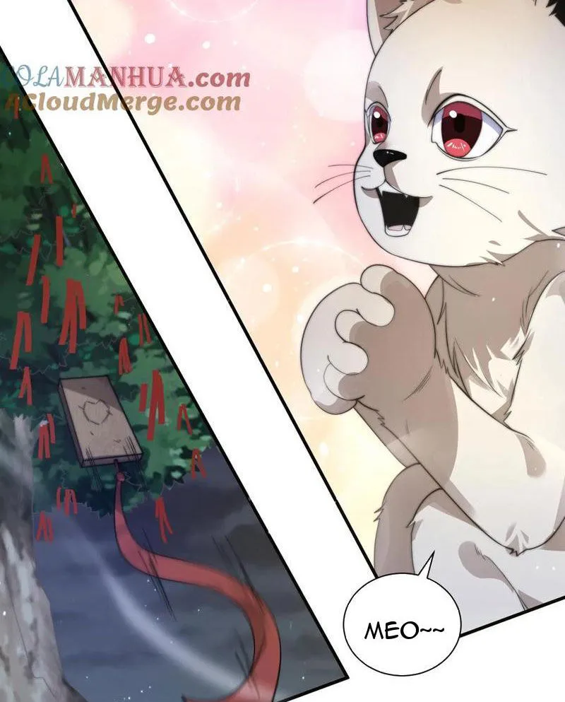 Chapter 270