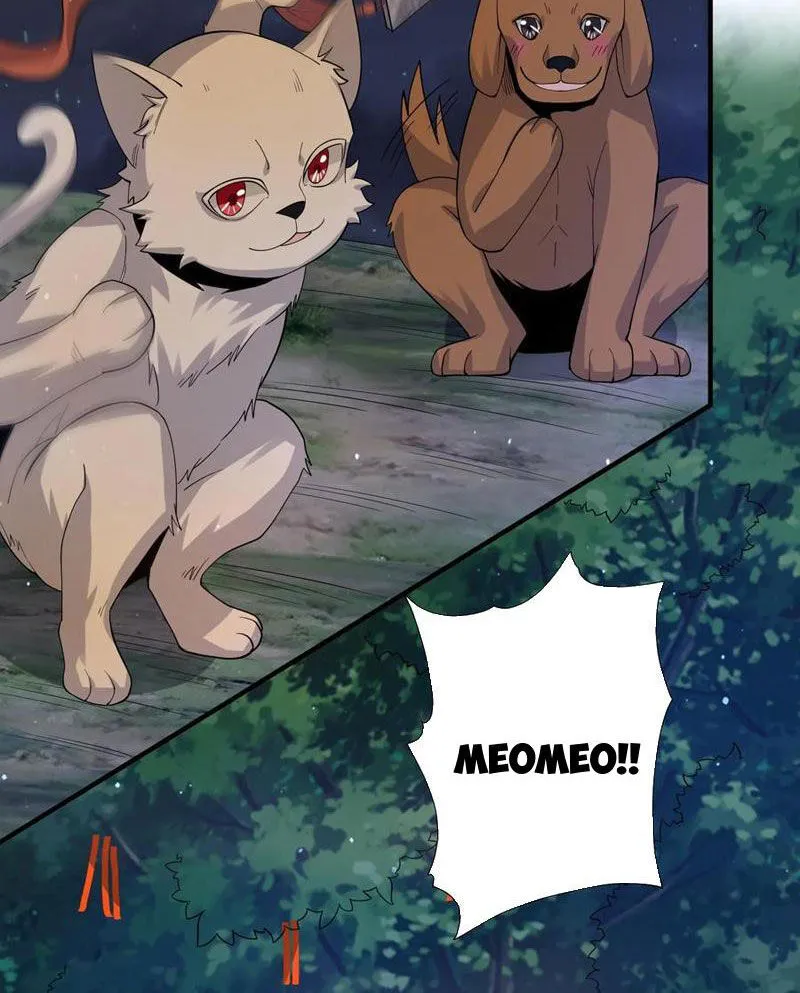 Chapter 270
