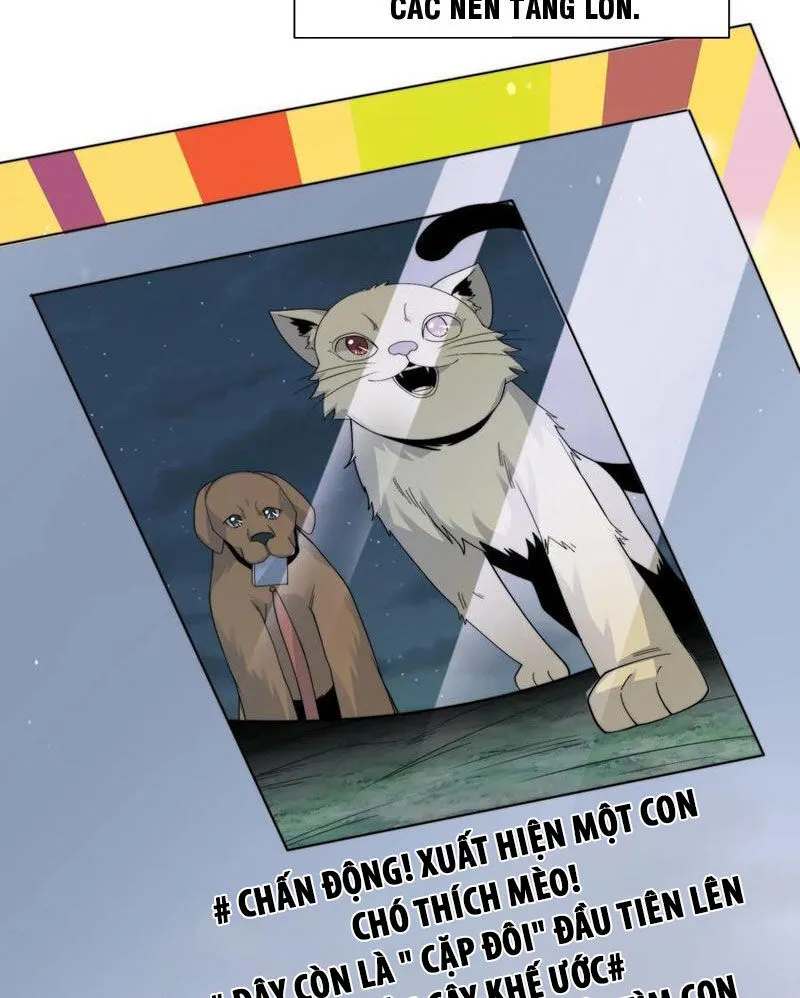 Chapter 270