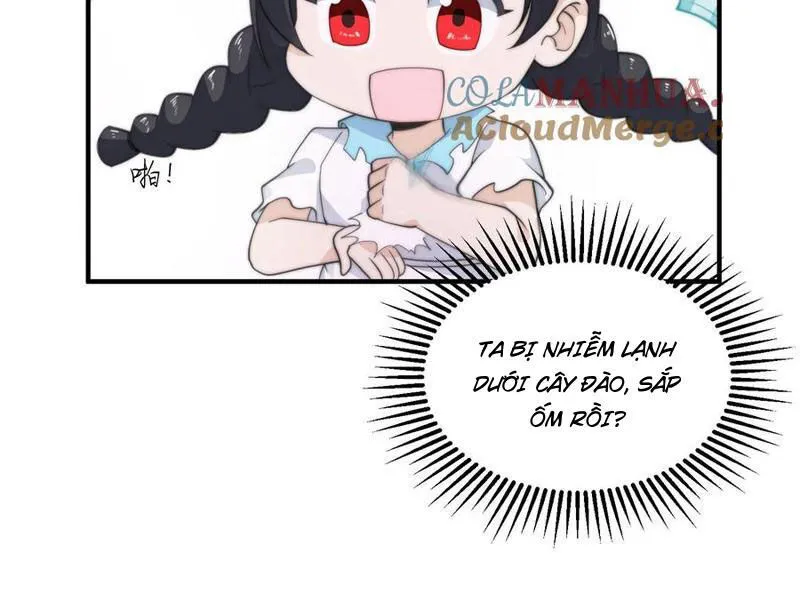 Chapter 266