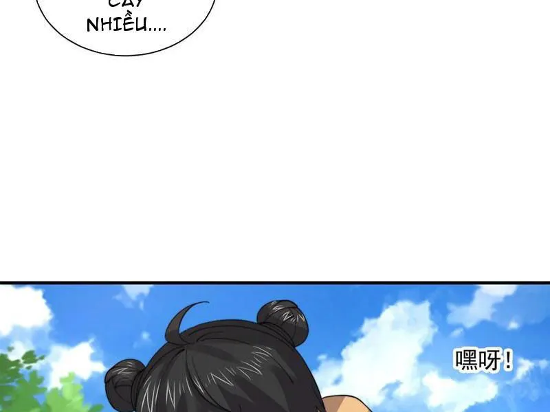 Chapter 262