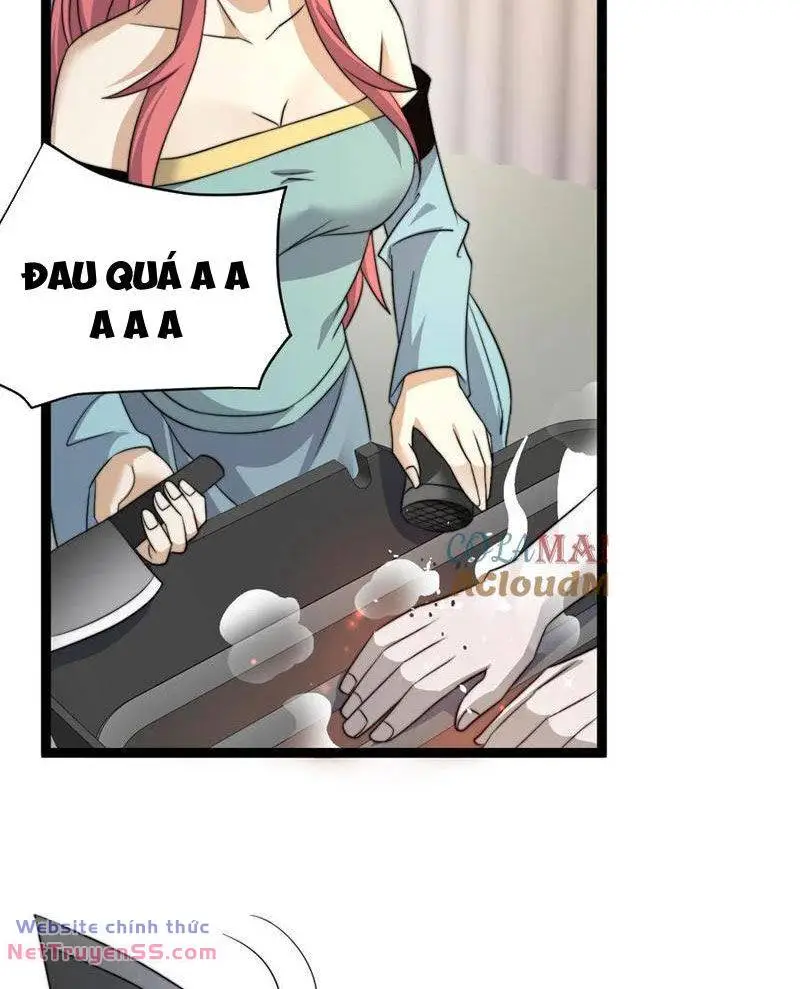 Chapter 254