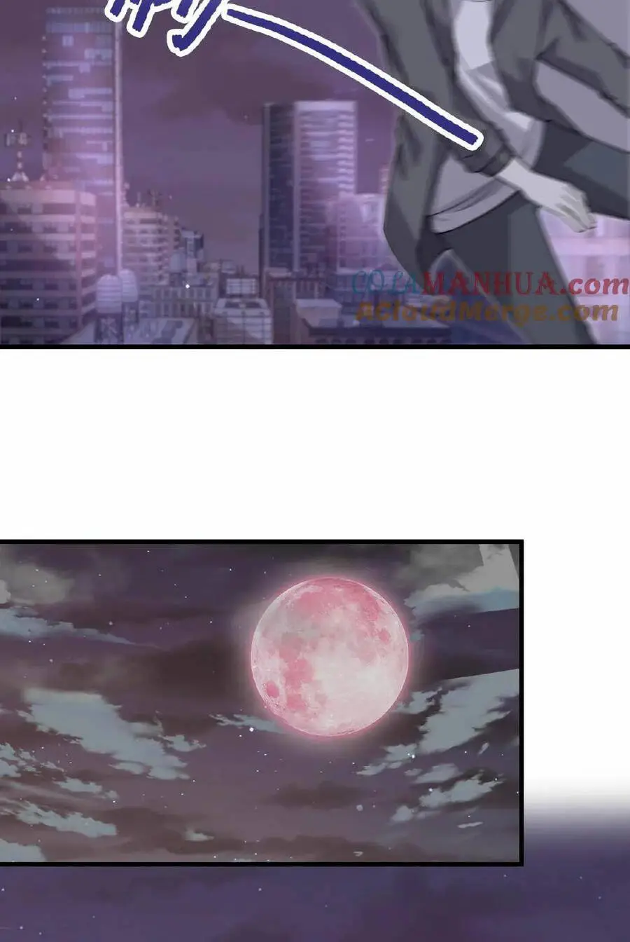 Chapter 210