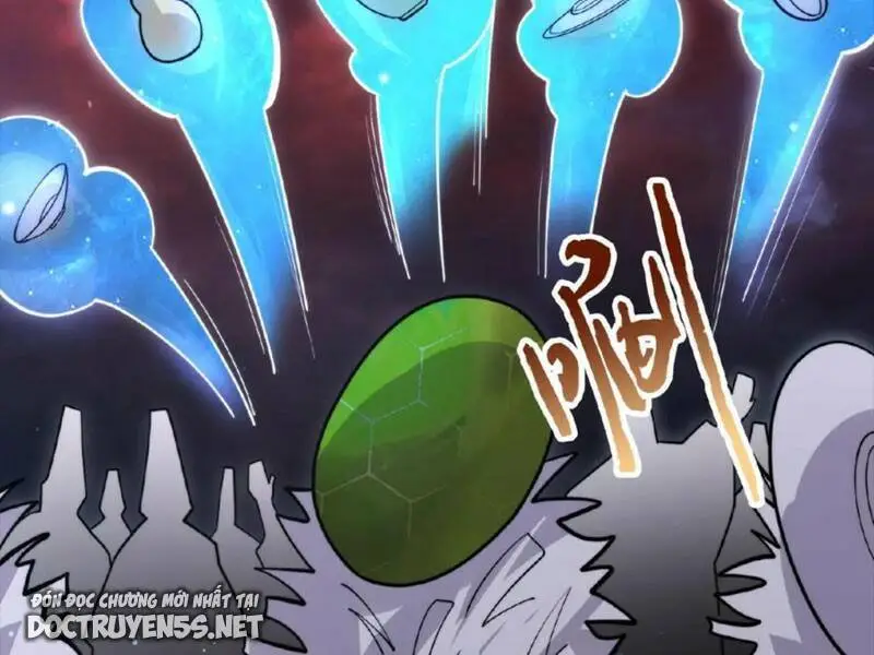 Chapter 163