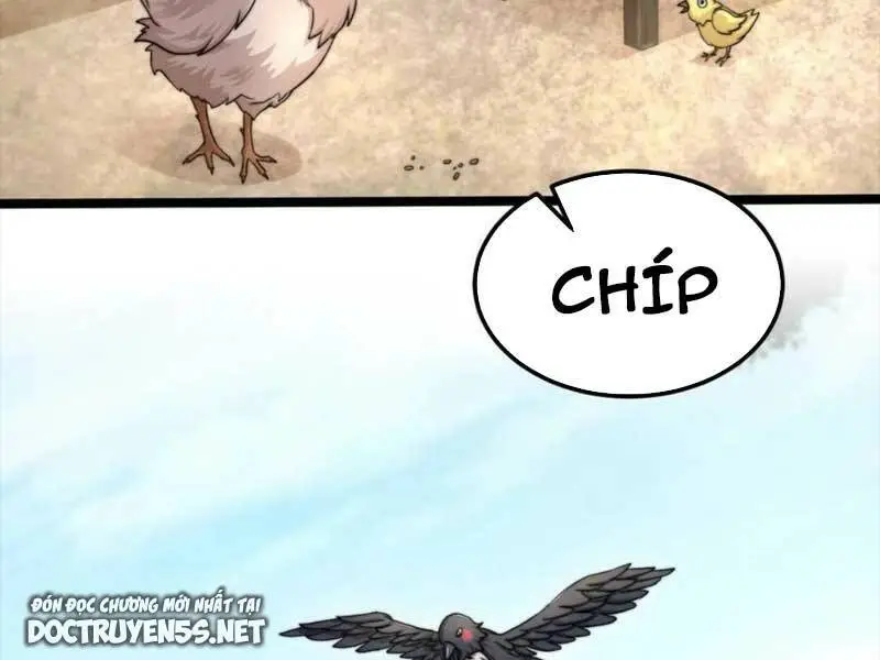Chapter 146