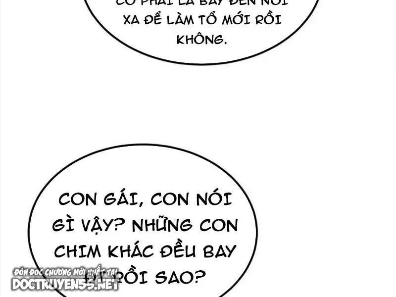 Chapter 146