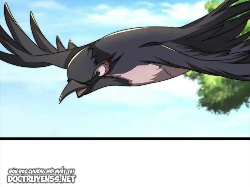 Chapter 146
