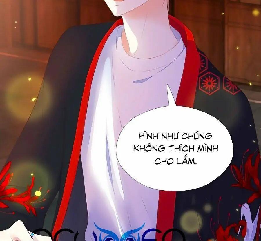 Chapter 71