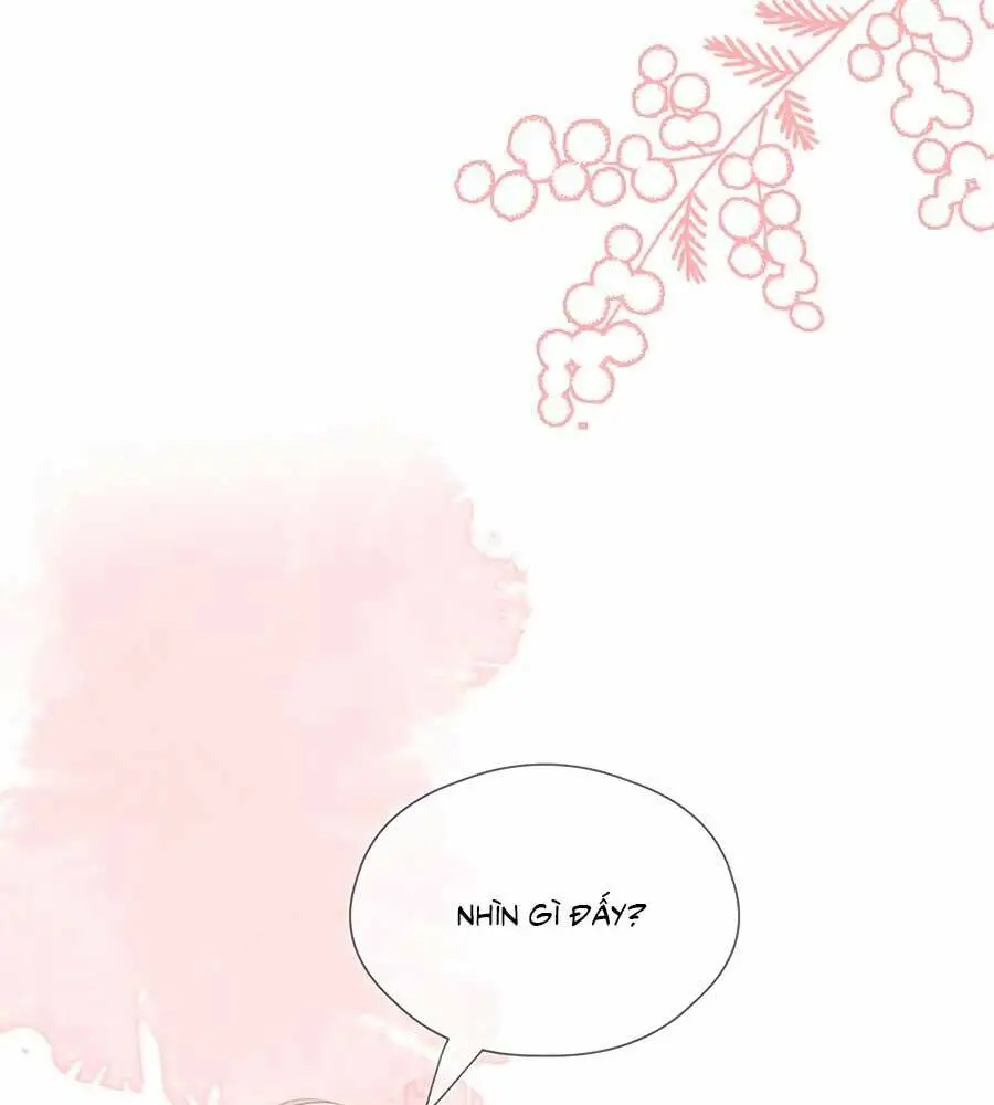 Chapter 66