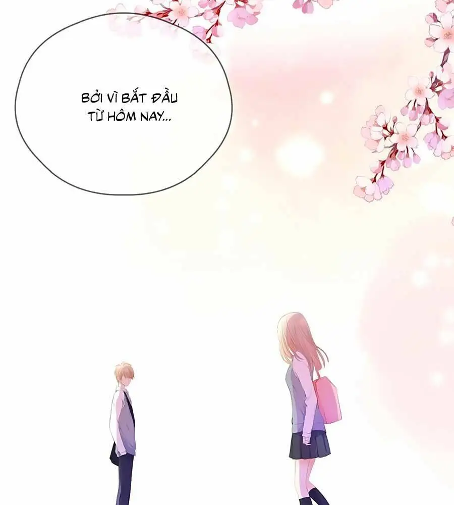 Chapter 66