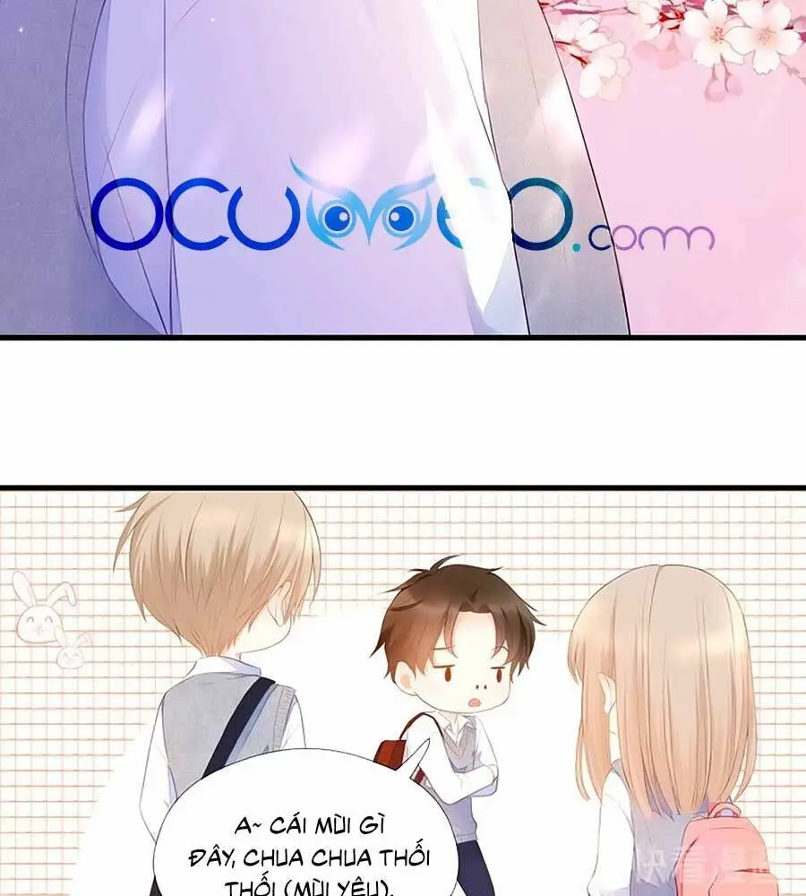 Chapter 66