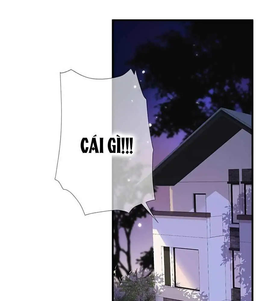 Chapter 64