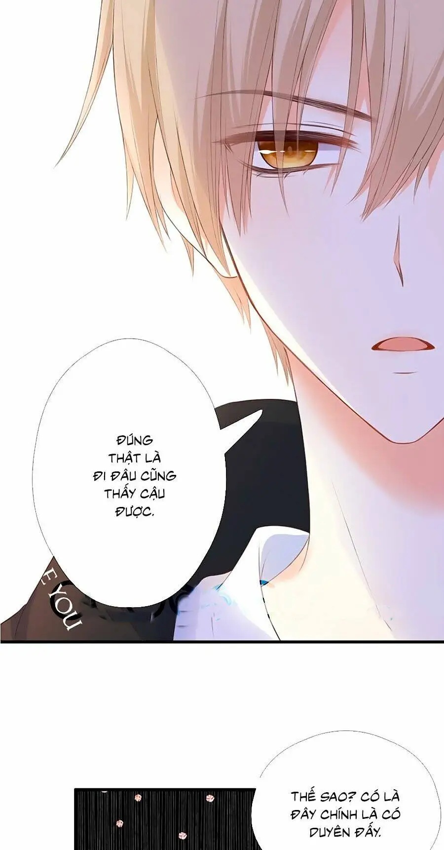 Chapter 62