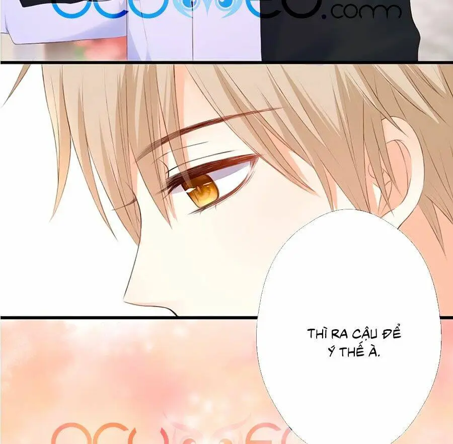 Chapter 62