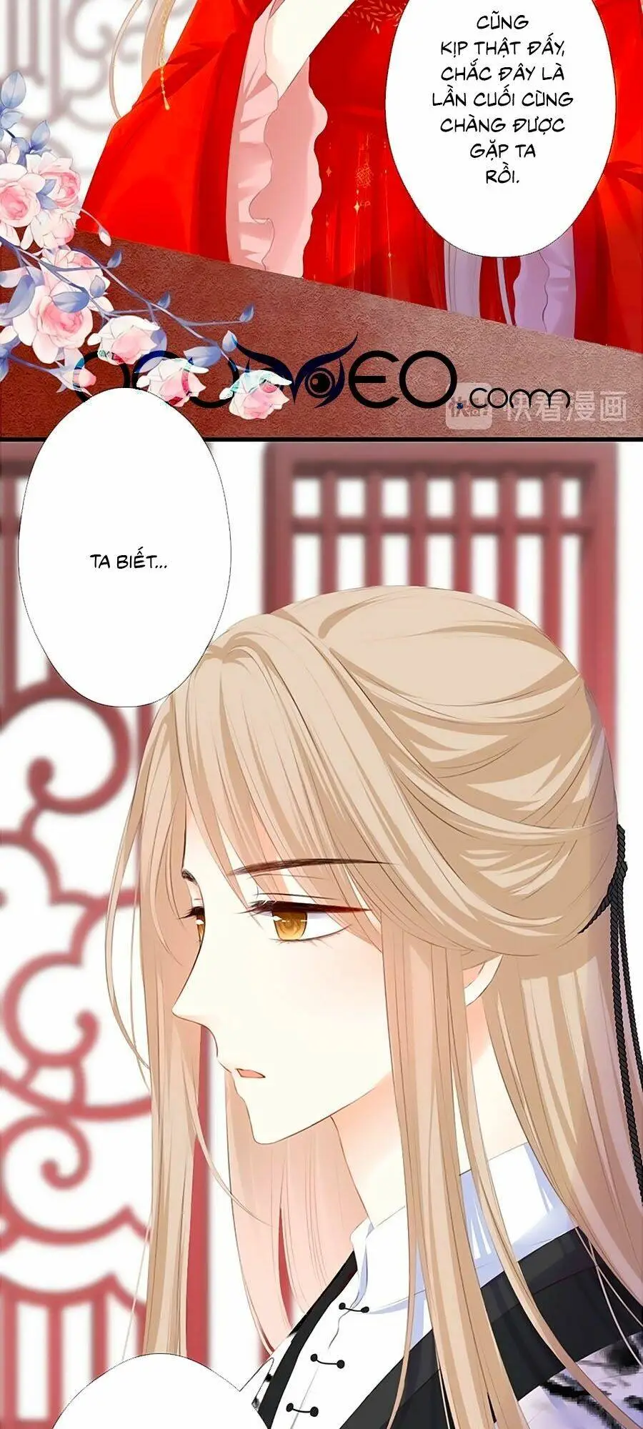 Chapter 49